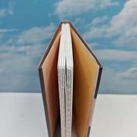 限量编号布面精装+毛边版 台湾联经版 扬之水《物色<金瓶梅>：活色生香的明代器物誌（二版）》（布面精装 毛边本）