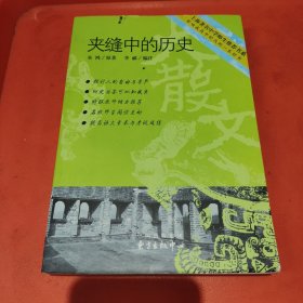 夹缝中的历史