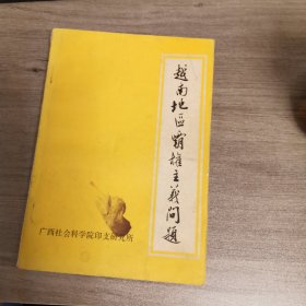 越南地区霸权主义问题