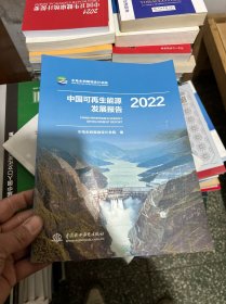 中国可再生能源发展报告2022