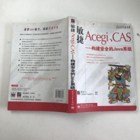 敏捷Acegi、CAS