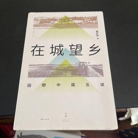 在城望乡:田野中国五讲