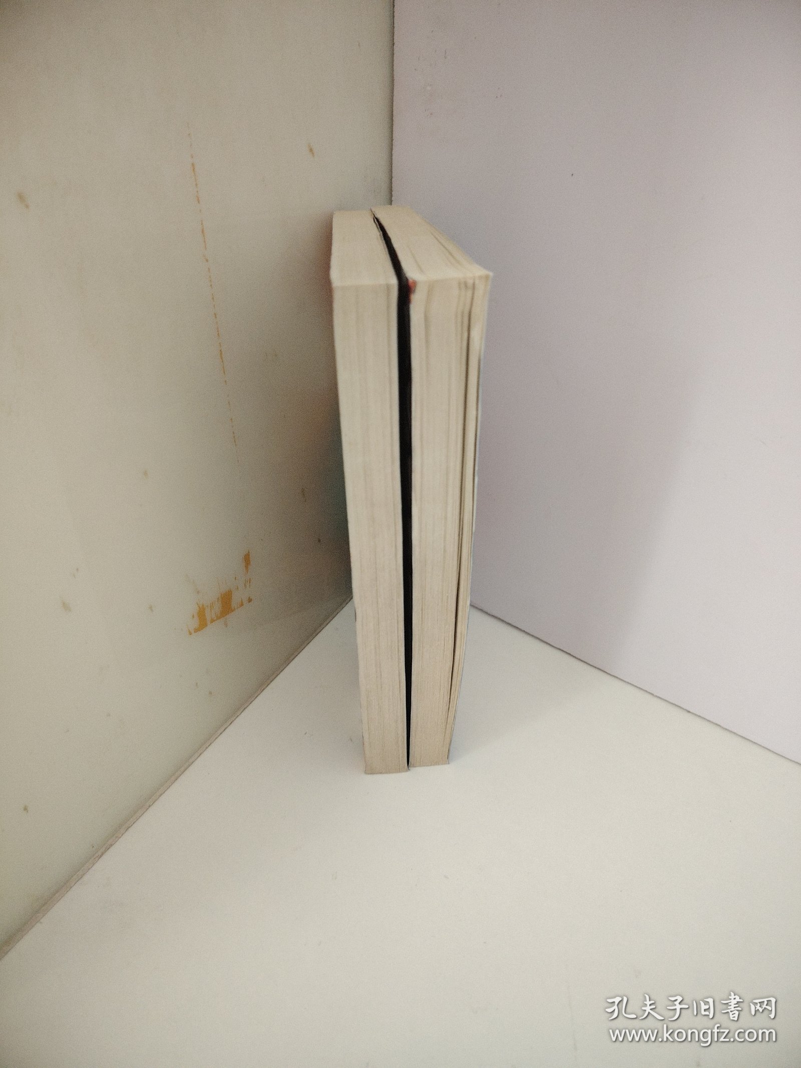 我的野 王妃 朴素熙