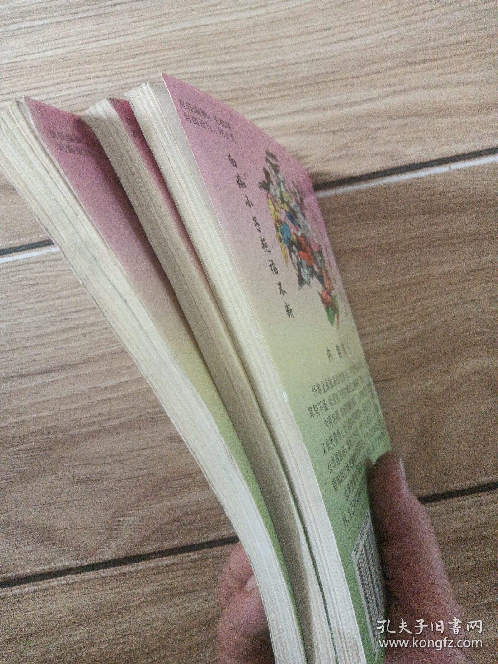 天才白痴十三招