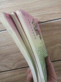 天才白痴十三招