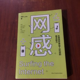 网感：在网络世界受人欢迎的基本能力（冯唐、关健明、西贝副总裁盛赞推荐。新媒体人，广告营销人的必读书。