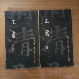 书法自学丛帖一正书(上下册)