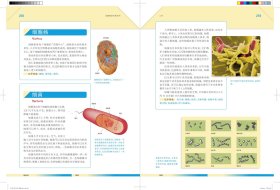 人类2(发现科学百科全书) 美国世界图书公司 著，陈仁杰,王维栋,吴祎涵,印冠锦 译 9787532655021 上海辞书出版社