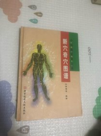 新穴奇穴图谱（第二版）