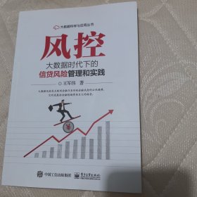 风控：大数据时代下的信贷风险管理和实践