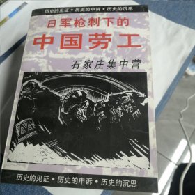 日军枪刺下的中国劳工（全4册）