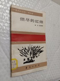 燃尽的红烛，华夏风云丛书，陨星篇，1988一版一印