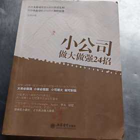 小公司做大做强24招/去梯言系列