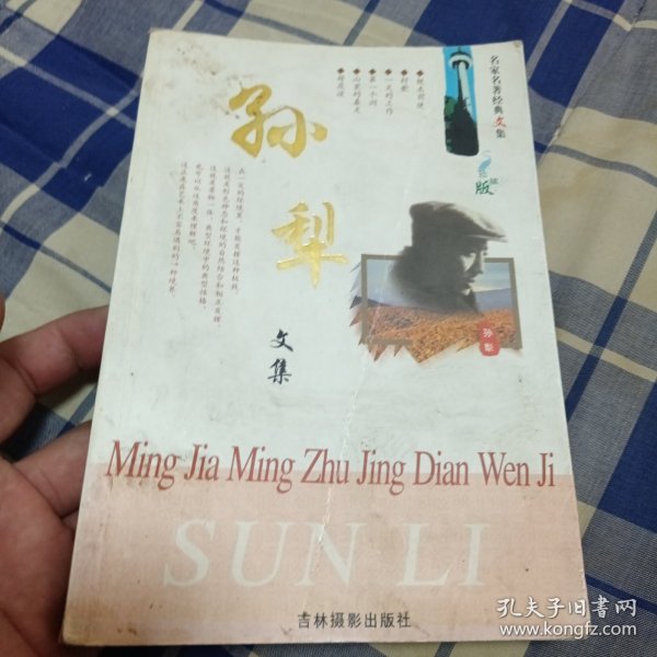 名家名著经典文集：孙犁文集