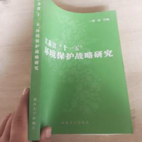 江苏省“十一五”环境保护战略研究