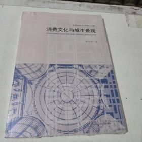 消费文化与城市景观/景观研究丛书(在246号)