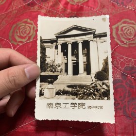南京工学院图书馆 六朝松，两张老照片