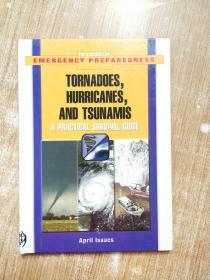 TORNADOES HURRICANES AND TSUNAMIS A PRACTICAL SURVIVAL GUIDE