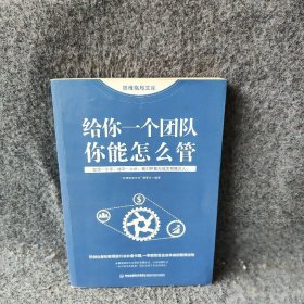 思维格局文库：给你一个团队你能怎么管“思维格局文库”编委会普通图书/管理