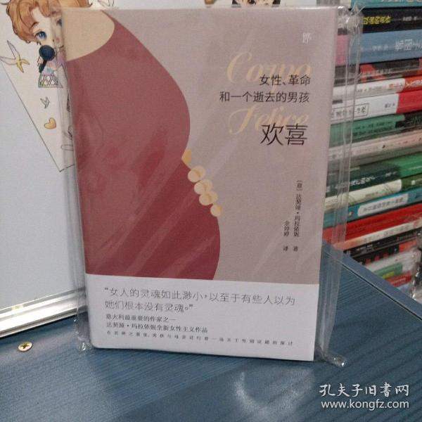 欢喜：女性、革命和一个逝去的男孩（诺贝尔文学奖热门提名作家女性主义作品）