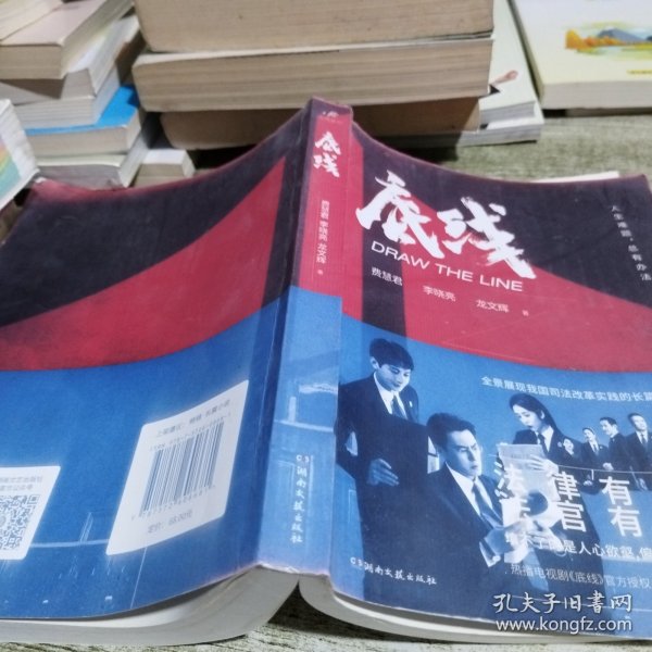 底线  法律有尺度，法官有温度  靳东、成毅、蔡文静主演的热播电视剧《底线》剧本小说