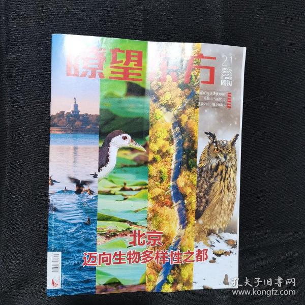 瞭望东方周刊 2021年第21期（北京迈向生物多样性之都）（电动自行车该去哪充电？）