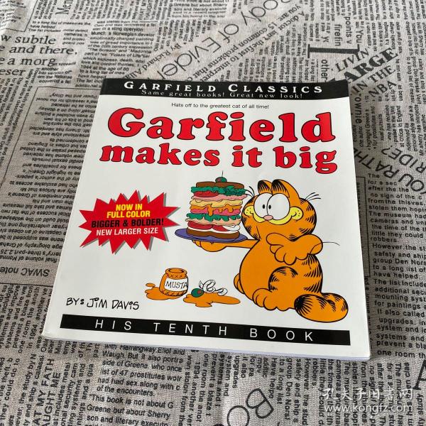 Garfield Makes it Big[加菲猫系列沾沾自喜的加菲猫]