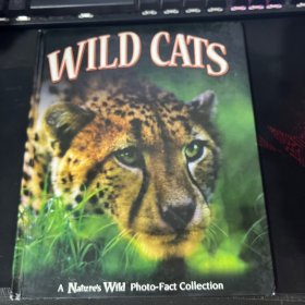 WILD CATS