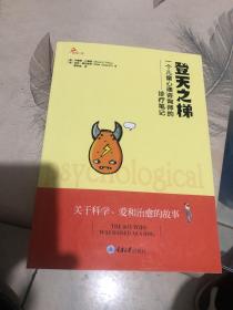 登天之梯：一个儿童心理咨询师的诊疗笔记