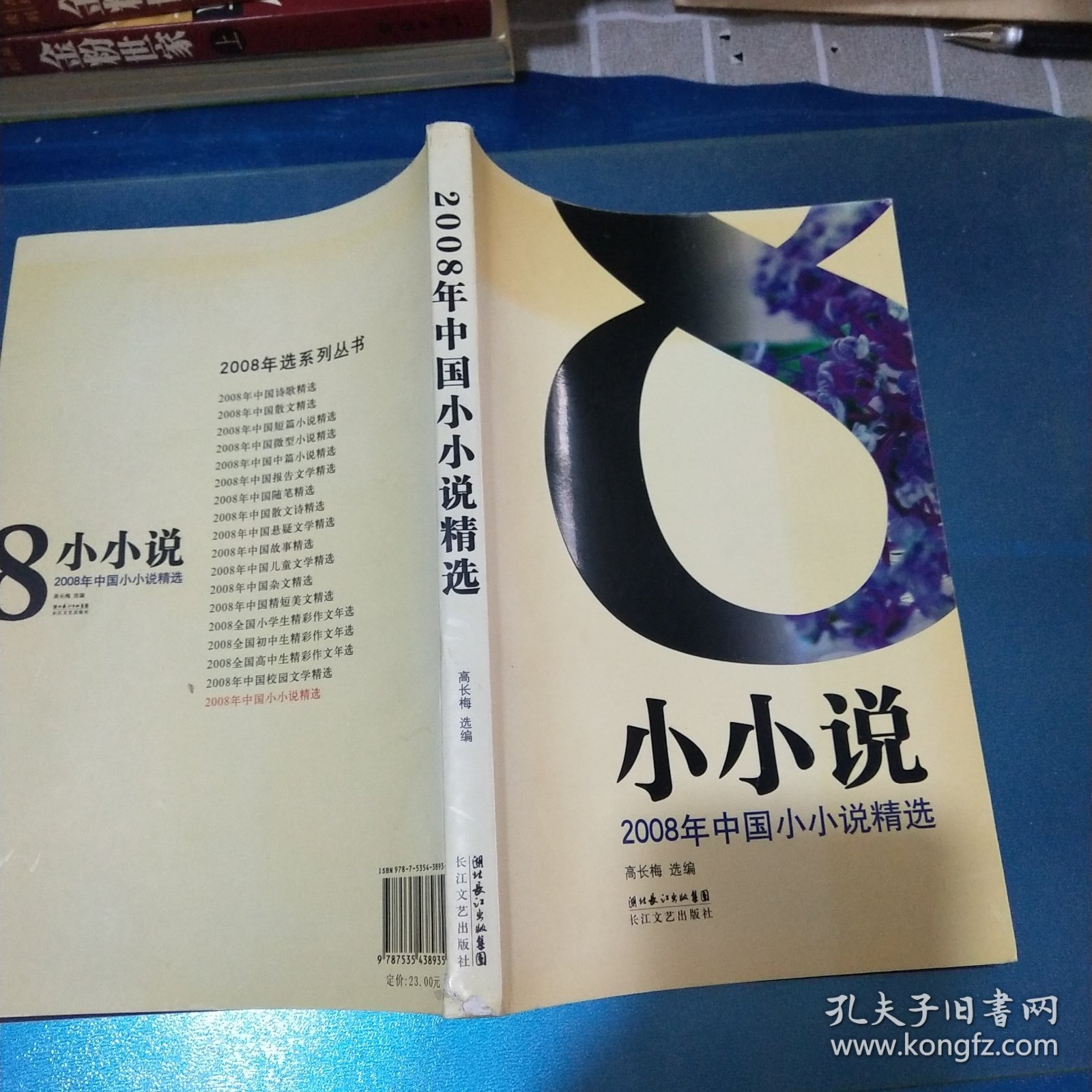 2008年中国小小说精选