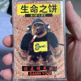 【中国摇滚】生命之饼乐队——“你是该死的（damn you）”，武汉朋克代表乐队，早期专辑，音像制品售出不退不换
