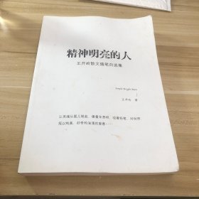 精神明亮的人:王开岭散文随笔自选集