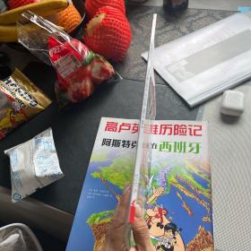 漂向新大陆：高卢英雄历险记22