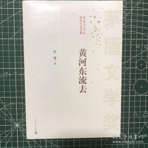 茅盾文学奖获奖作品全集：黄河东流去