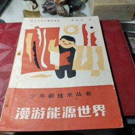 漫游能源世界  作者:  姜迅生 出版社:  浙江少年儿童出版社 出版时间:  1986年2次！