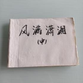 风满潇湘（中）