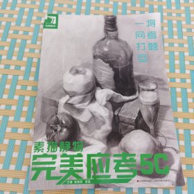 素描静物完美应考