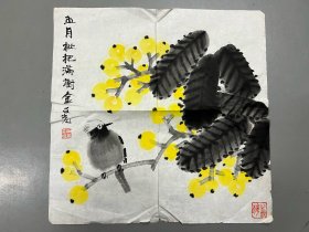 著名画家尚文光先生“五月枇杷满树金”42x42cm