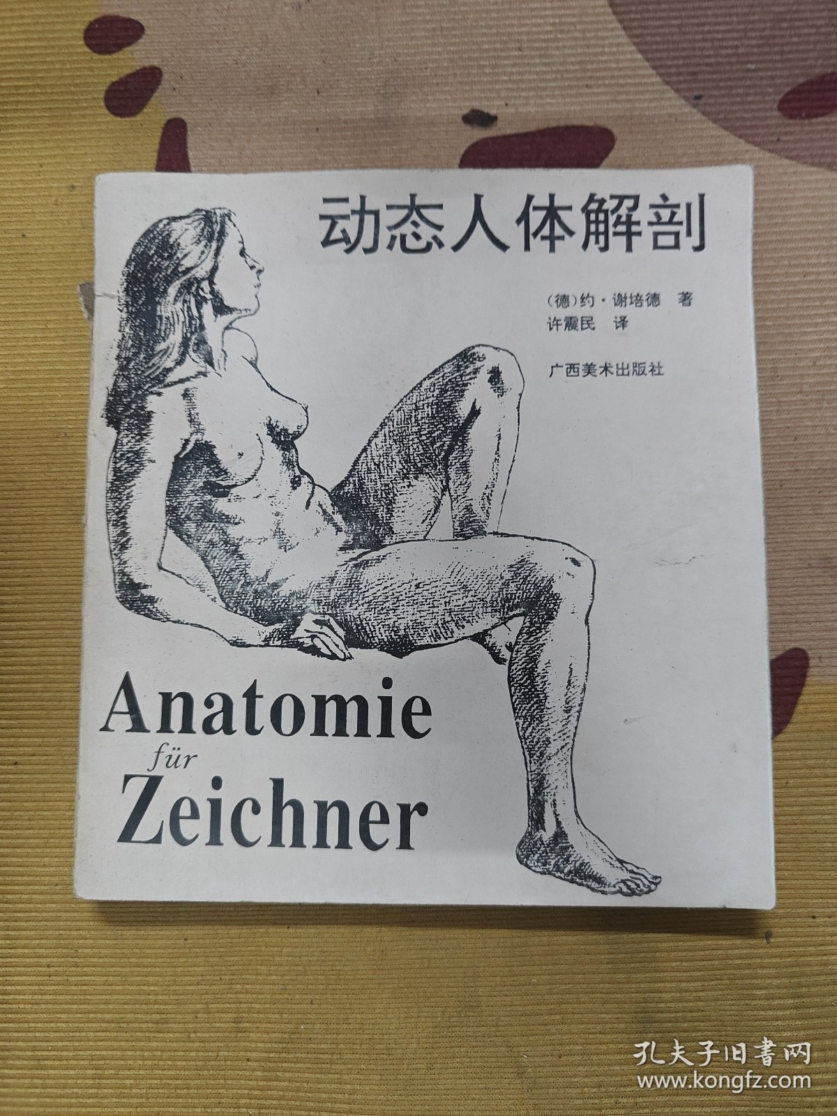 点击查看原图 动态人体解部