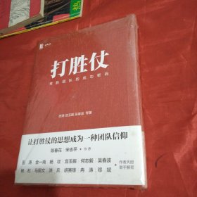 打胜仗:常胜团队的成功密码