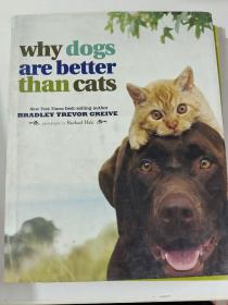 why dogs are better than cats