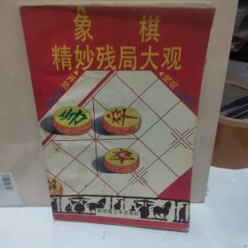 象棋精妙残局大观