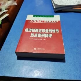 经济犯罪定罪量刑情节热点案例释评