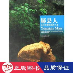 郧县人:长江中游的远古人类 文物考古 湖北省博物馆