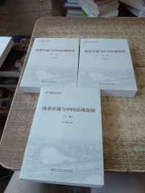 改革开放与中国县域发展(上中下册)