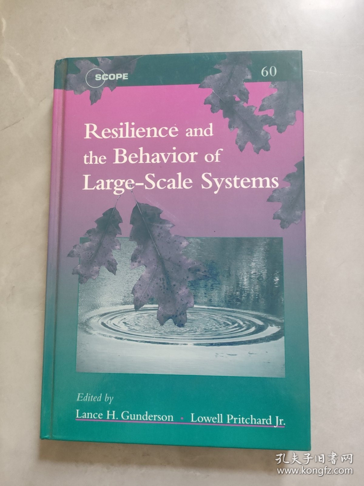 Resilience and the Behavior of Large-Scale Systems大系统的弹性和行为