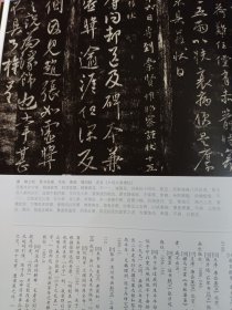 《中国书法》杂志，唐代草书特辑（张旭《草书肚痛帖》《草书断千字文卷》、怀素《草书论书帖》《草书苦笋帖》、欧阳询《草书仿右军帖》、虞世南、陆柬之、贺知章、孙过庭、颜真卿《草书仿右军帖》、高闲等草书名迹），张旭草书与无意识，韩玉涛:旭、素优劣论，唐代草书的法脉与格辙，王蘧常书法研究（共40页）王蘧常书法精选，李一:书法史上的王蘧常，王蘧常书学分期和晚期书法，刘彦湖:王蘧常书学散论，张海书法评赏，