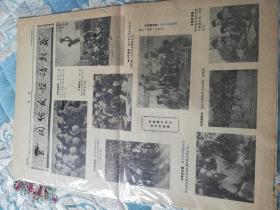 1972年山西省少年篮球运动会/会刊，9月15号第二期，18号第三期，22第四期号，三份合售。