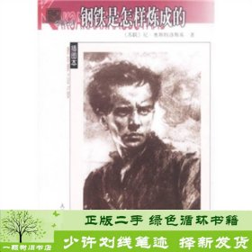 名著名译插图本：钢铁是怎样炼成的