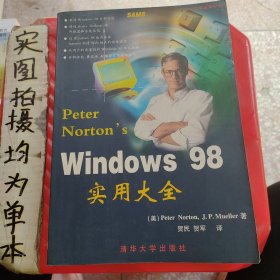 Peter Nortons Windows 98实用大全